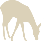 Catégories de blasons nature : grands, moyens, petits gibiers